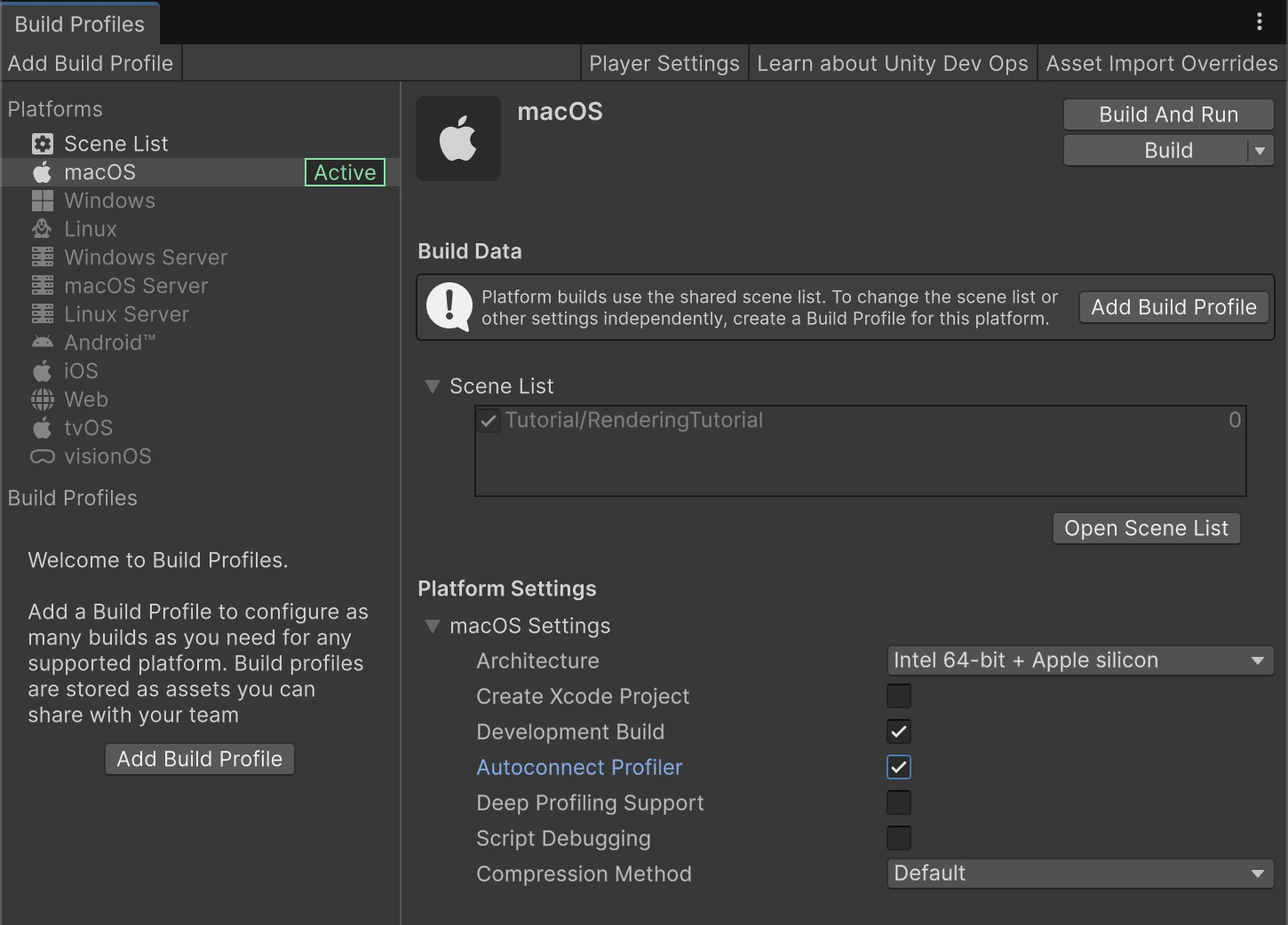 Build Profiles with Development Build and Autoconnect Profiler enabled. This screenshot shows configuration only; the tutorial captures below are from Editor Play Mode, not a built Player.